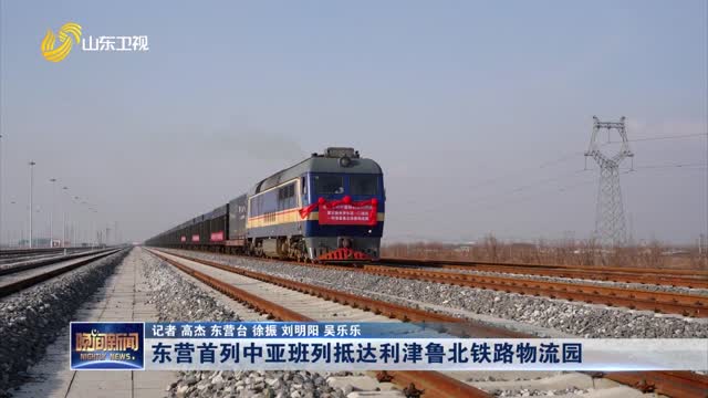 东营首列中亚班列抵达利津鲁北铁路物流园