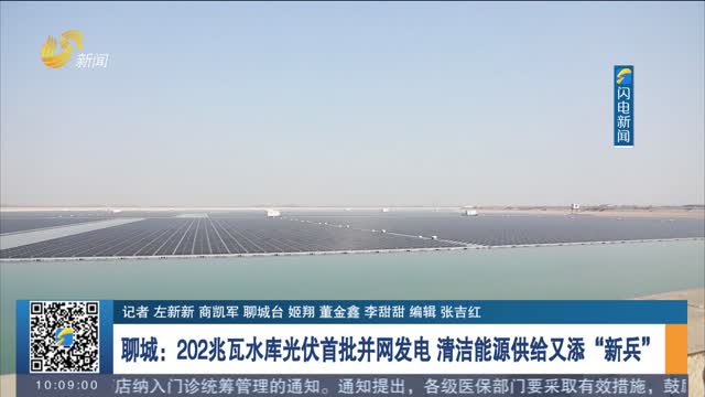 聊城：202兆瓦水库光伏首批并网发电 清洁能源供给又添“新兵”