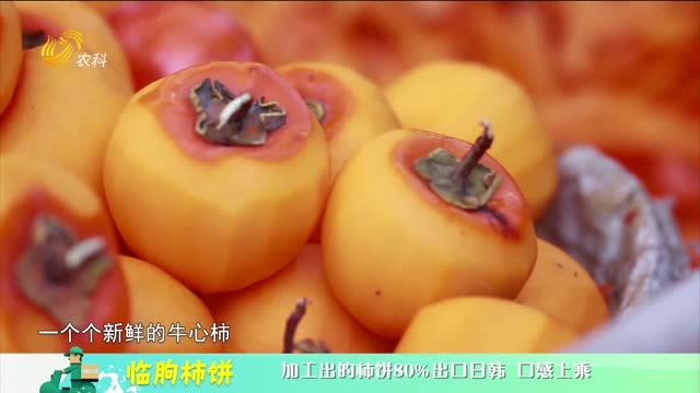 20230216《中国原产递》：临朐柿饼