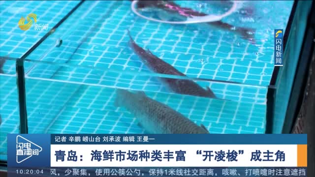 【舌尖上的春天】青岛：海鲜市场种类丰富 “开凌梭”成主角