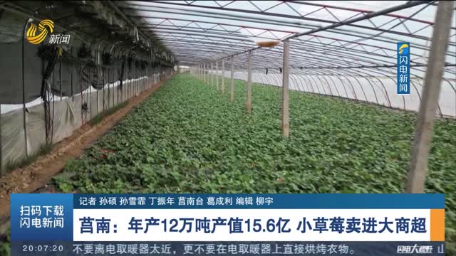莒南：年产12万吨产值15.6亿 小草莓卖进大商超