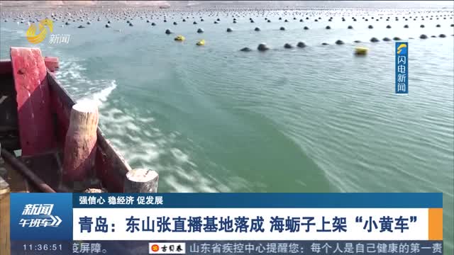 【强信心 稳经济 促发展】青岛：东山张直播基地落成 海蛎子上架“小黄车”