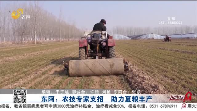 东阿：农技专家支招 助力夏粮丰产
