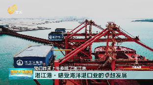 【帆行中国海】湛江港·感受海洋港口业的卓越发展  