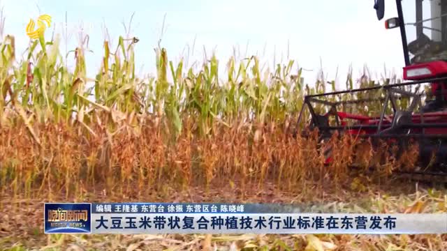 大豆玉米带状复合种植技术行业标准在东营发布