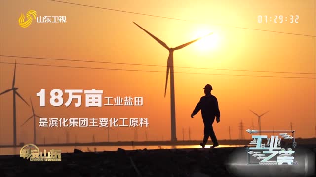【工业之美 】有实力有颜值 被山东高端化工的美惊艳到了