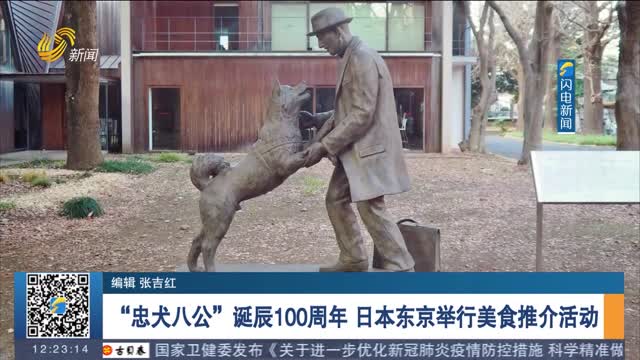 “忠犬八公”诞辰100周年 日本东京举行美食推介活动