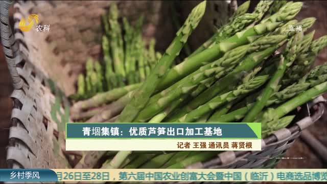 青堌集鎮：優質蘆筍出口加工基地