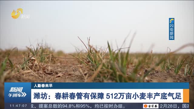 【人勤春来早】潍坊：春耕春管有保障 512万亩小麦丰产底气足