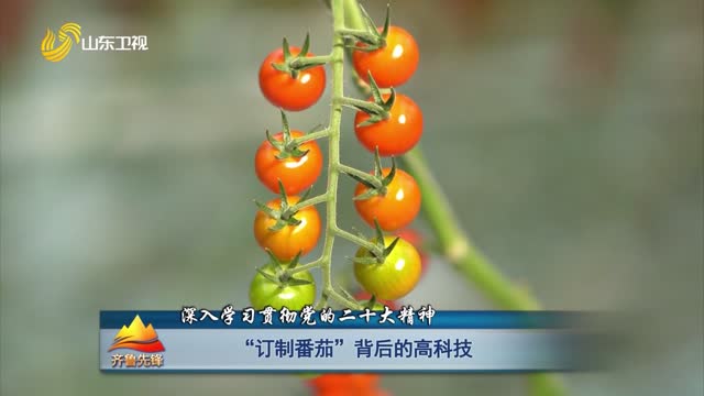 20230301《齐鲁先锋》：“定制番茄”背后的高科技