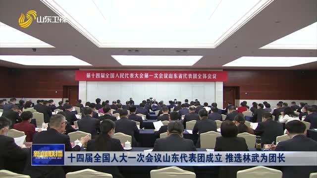 十四届全国人大一次会议山东代表团成立 推选林武为团长