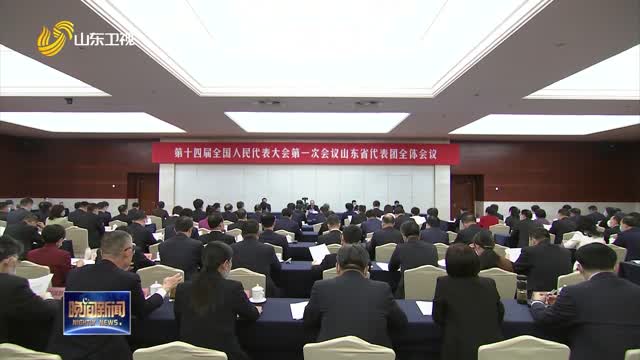 十四届全国人大一次会议山东代表团成立 推选林武为团长