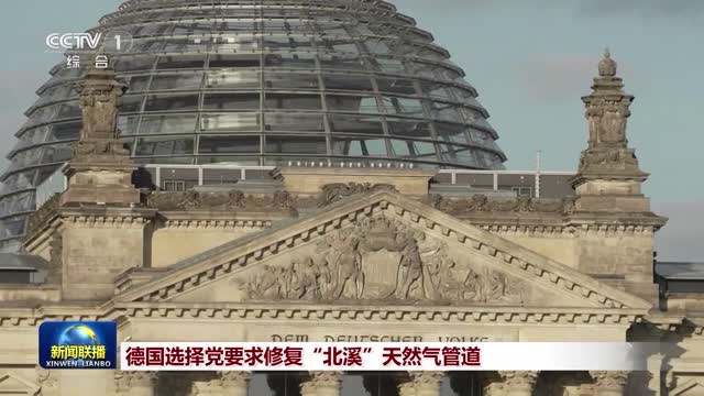 德国选择党要求修复“北溪”天然气管道