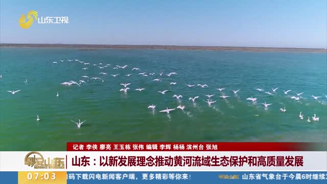 【直通全国两会】山东：以新发展理念推动黄河流域生态保护和高质量发展