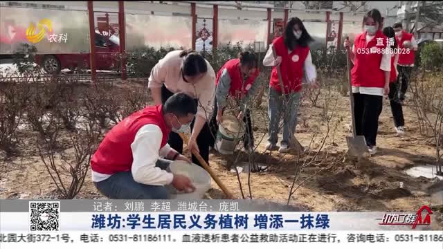 潍坊：学生居民义务植树 增添一抹绿