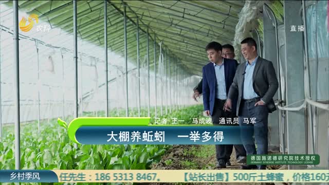 大棚養蚯蚓 一舉多得