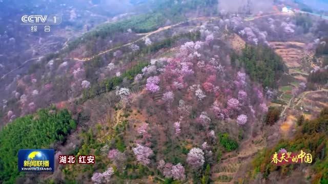 春天里的中国：美丽中国 春暖花开