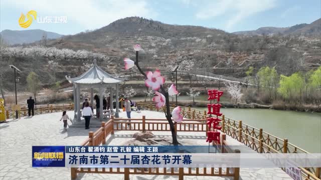 济南市第二十届杏花节开幕