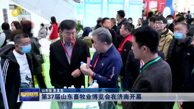 第37届山东畜牧业博览会在济南开幕