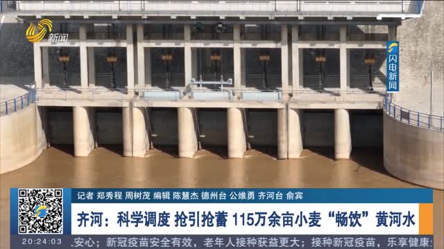 齐河：科学调度 抢引抢蓄 115万余亩小麦“畅饮”黄河水
