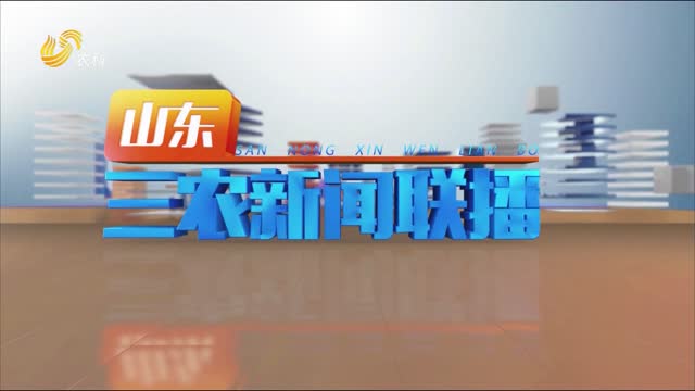 2023年03月19日山东三农新闻联播完整版