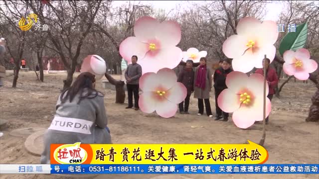 商河县第八届踏青赏花文化旅游节开幕