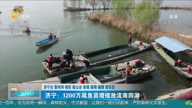 【保护生态环境】济宁：1200万尾鱼苗增殖放流南四湖