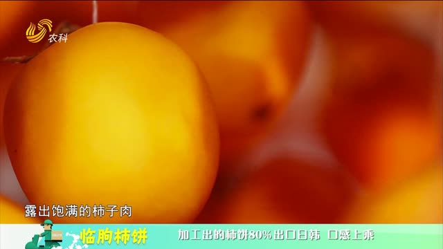 20230330《中国原产递》：临朐柿饼