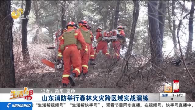 山东消防举行森林火灾跨区域实战演练
