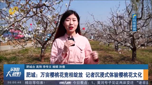 【好客山东】肥城：万亩樱桃花竞相绽放 记者沉浸式体验樱桃花文化