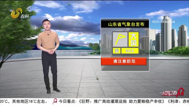 看天气：省气象台发布大风黄色预警