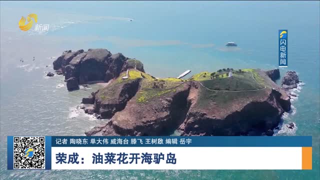 榮成：油菜花開海驢島