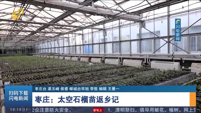 枣庄：太空石榴苗返乡记