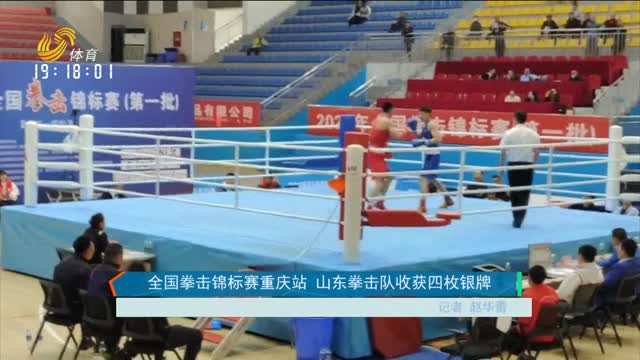 全国拳击锦标赛重庆站 山东拳击队收获四枚银牌