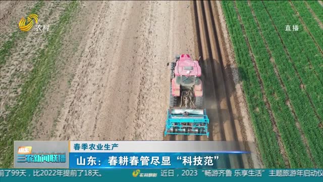 【春季农业生产】山东：春耕春管尽显“科技范”