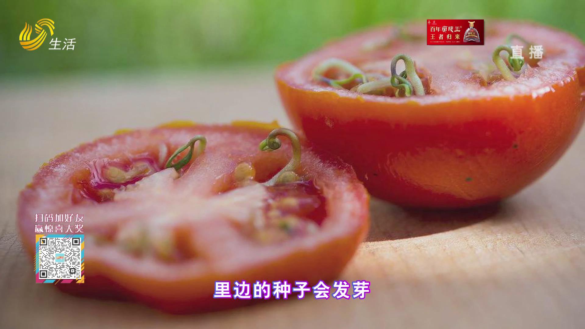 西红柿发芽可以吃吗