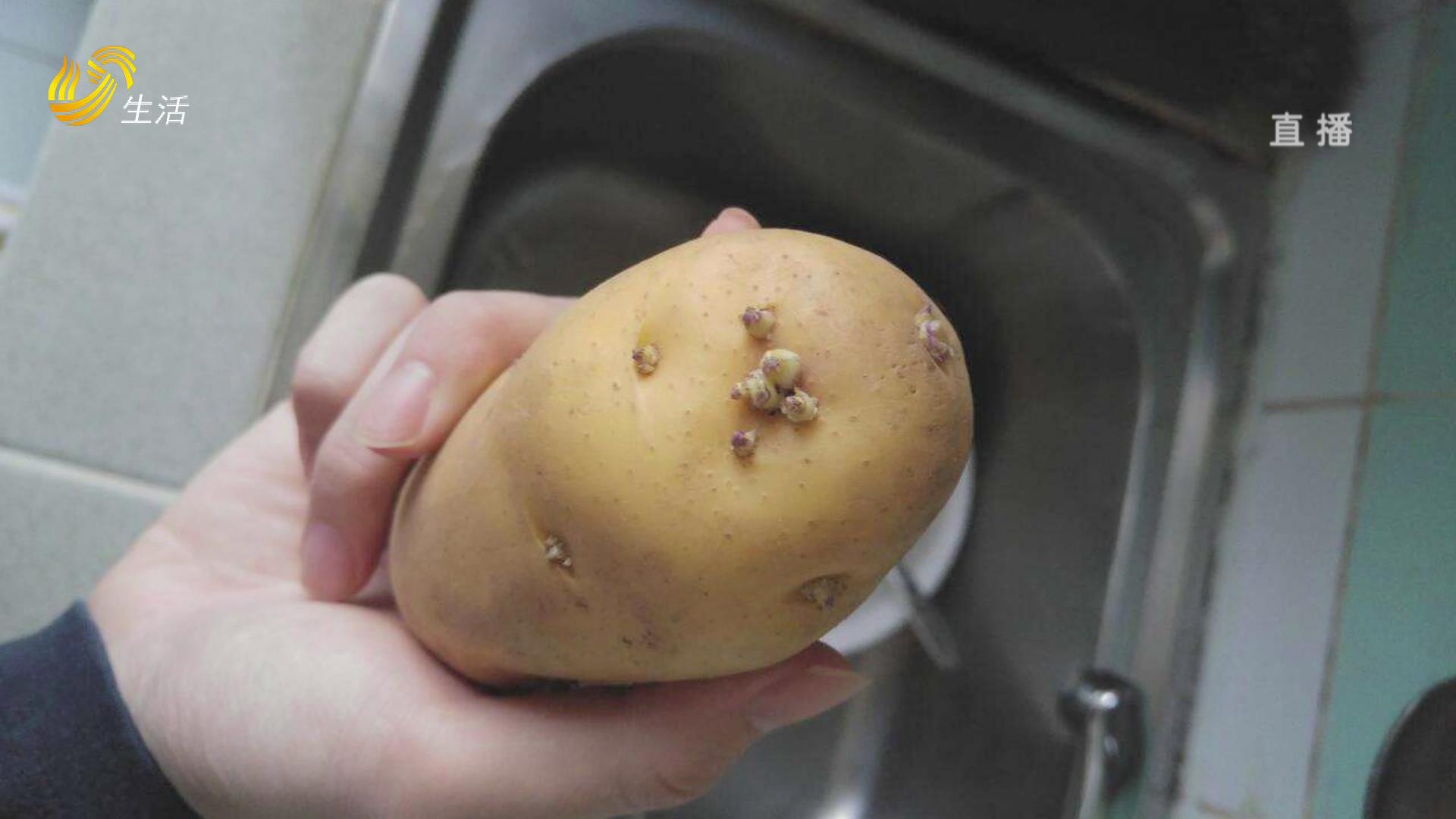 土豆发芽可以吃吗