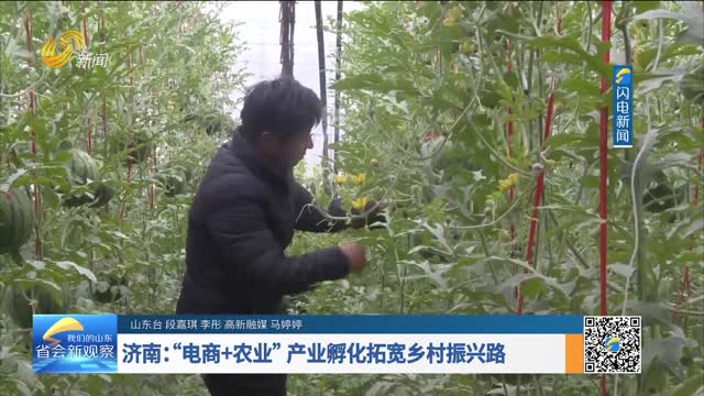 济南：”电商+农业“产业孵化拓宽乡村振兴路