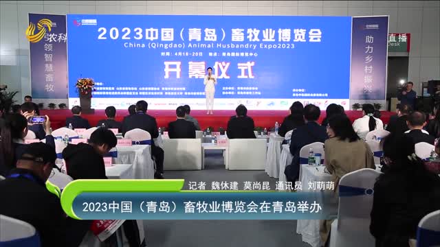 【齐鲁畜牧】2023中国（青岛）畜牧业博览会在青岛举办
