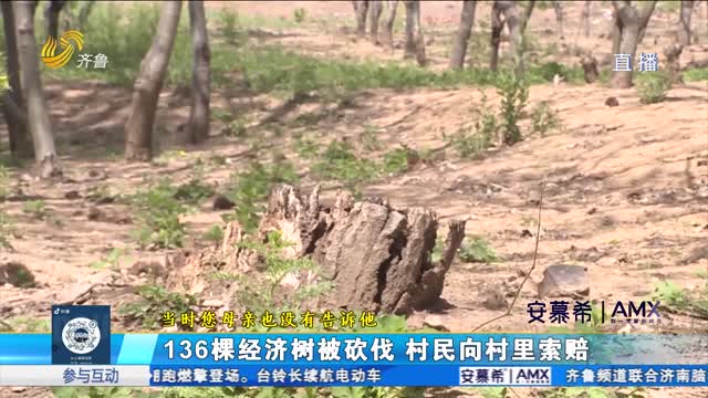诸城：136棵林木被砍 村民能否索赔损失？