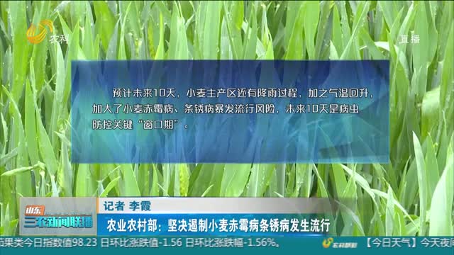 【春季麦田管理】农业农村部：坚决遏制小麦赤霉病条锈病发生流行