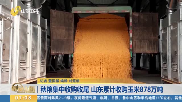 秋粮集中收购收尾 山东累计收购玉米878万吨