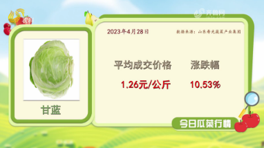 瓜菜价格20230428
