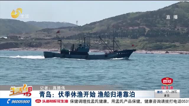 青岛：伏季休渔开始 渔船归港靠泊