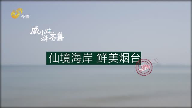 戚小妹游齐鲁：畅享烟台仙境海岸 看山东向海图强高质量发展