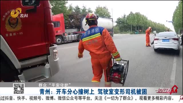 【群众“平安守护”】青州：开车分心撞树上 驾驶室变形司机被困