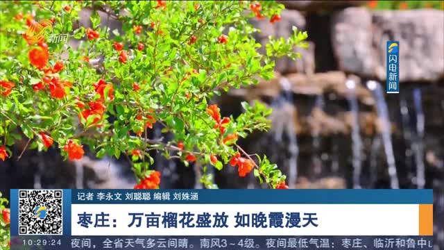 枣庄：万亩榴花盛放 如晚霞漫天