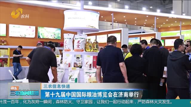 【三农信息快递】第十九届中国国际粮油博览会在济南举行