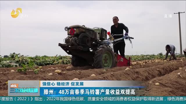 【强信心 稳经济 促发展】滕州：48万亩春季马铃薯产量收益双提高