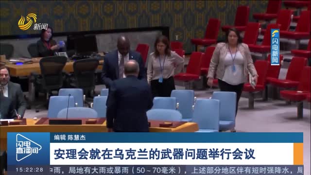 安理会就在乌克兰的武器问题举行会议